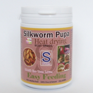 열풍건조 실크웜 번데기 190마리 220ml Silkworm pupa